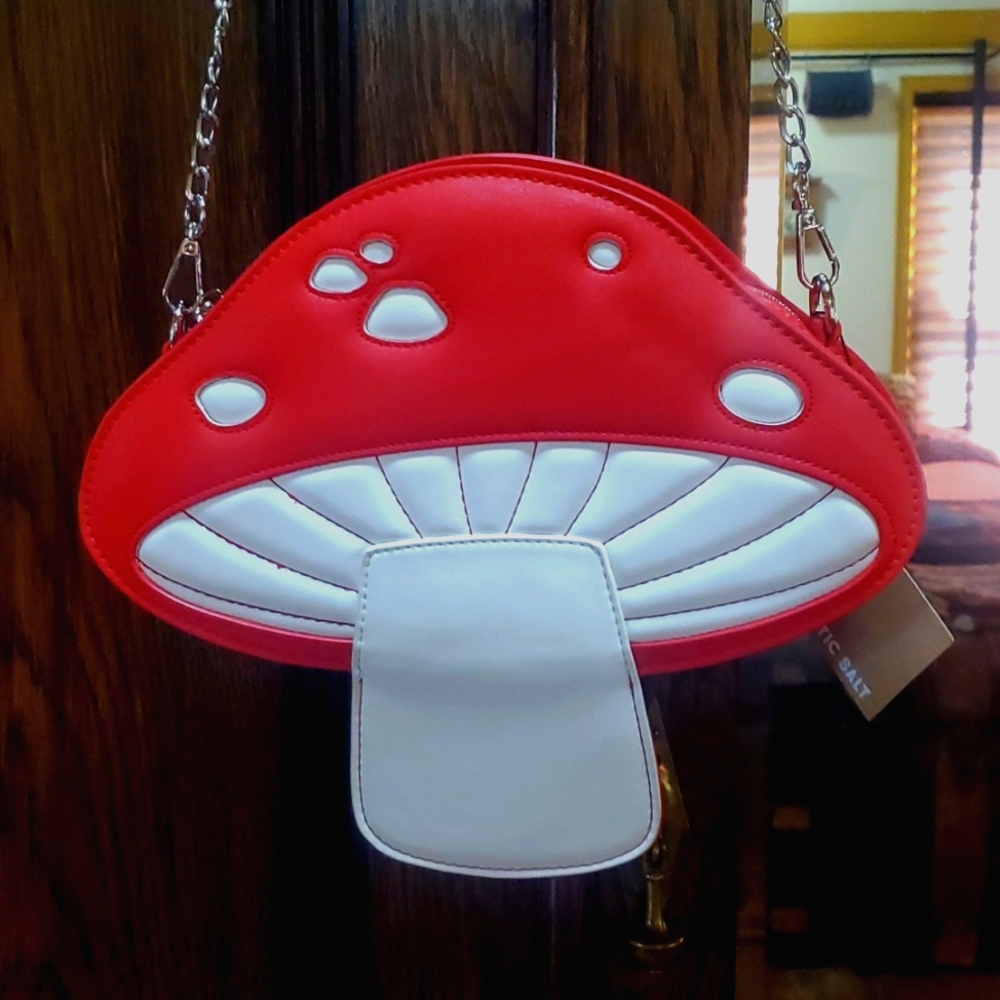 Mushroom red purse...
